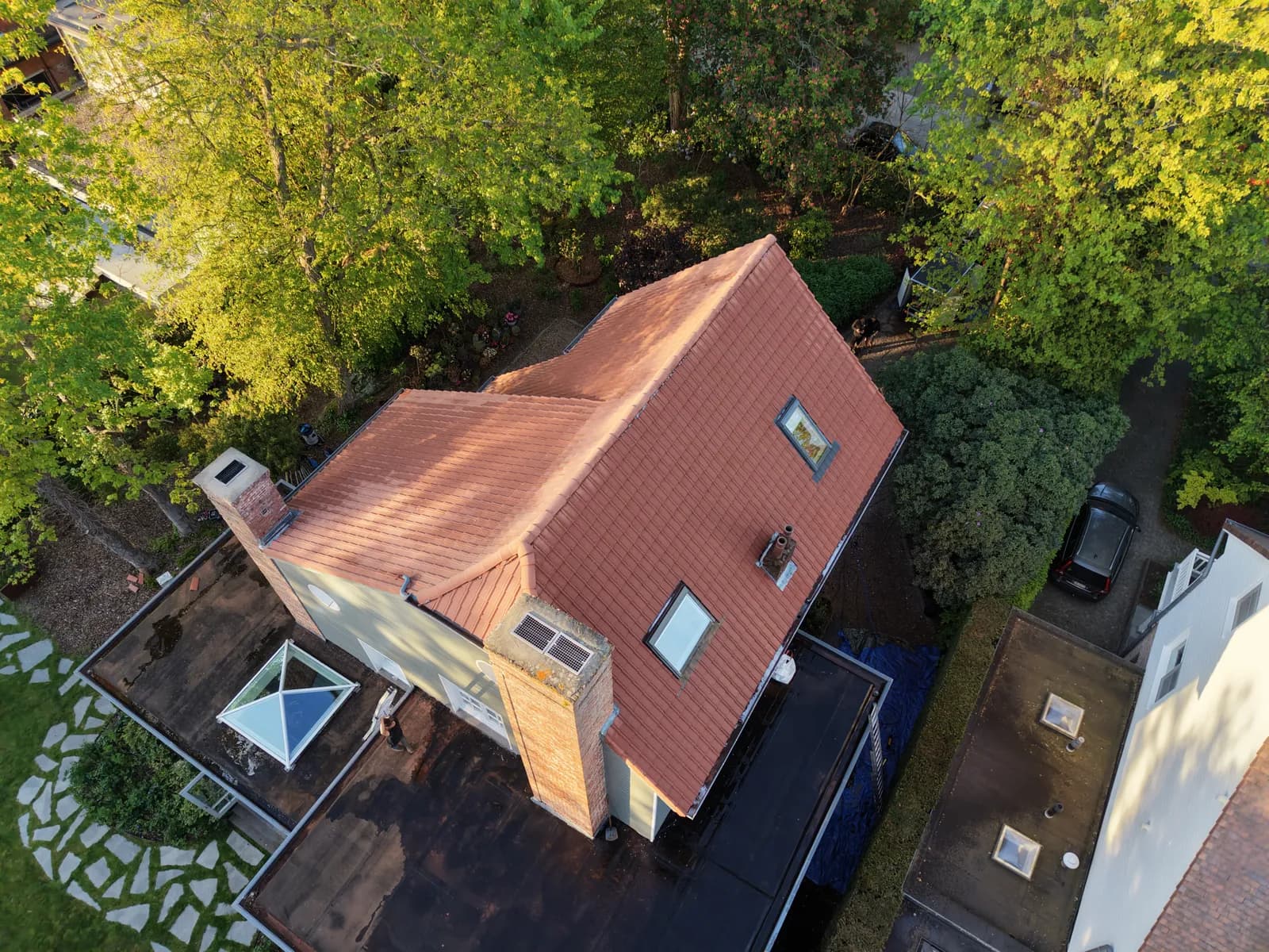 Professionele dakreiniging te Antwerpen